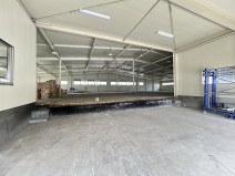 写真 2026-01-24 17 02 28 (9)