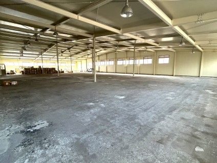 写真 2026-01-24 17 02 28 (3)