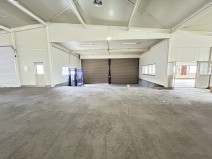 写真 2026-01-24 17 02 28 (4)