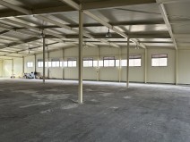 写真 2026-01-24 17 02 28